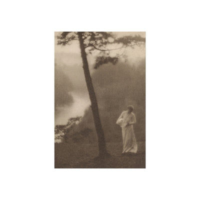 Vintage Morning Fine Art Poster, Clarence White Reproduction