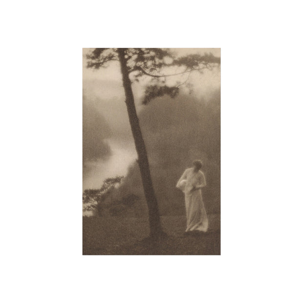 Vintage Morning Fine Art Poster, Clarence White Reproduction