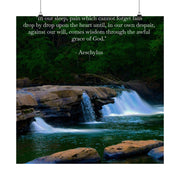 Matte Vertical Posters Award Winning Nicole Martinelli Photo & Aechylus "Pain Drop by Drop"