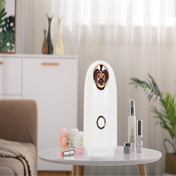 nano ionic facial steamer
