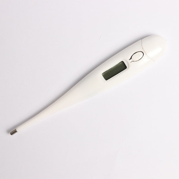 Digital Electronic Thermometer