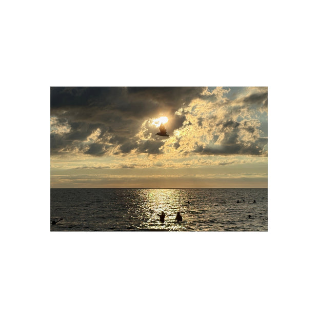 Fine Art Posters, Seagull Photo Print, Holland State Beach Art, Nature Wall Decor, Coastal Poster