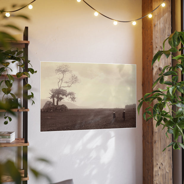 Poster Photo Art Paper Vintage Black and White Print of South from Ames North Elba by Seneca Ray Stoddard 1888