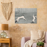 84ef2415-3949-43a5-a71a-93709aa7992d