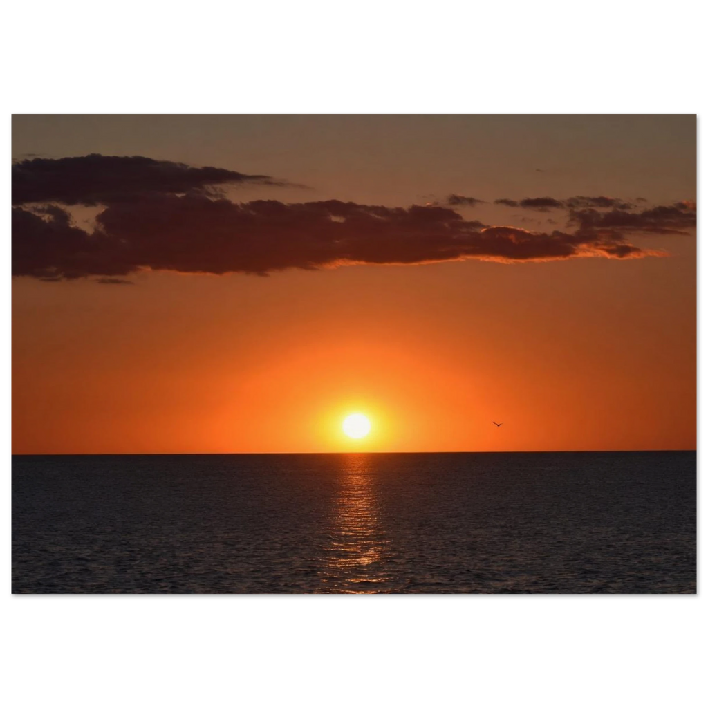 aa355c37-bf6c-487c-bd86-44572794e89a