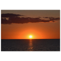 aa355c37-bf6c-487c-bd86-44572794e89a
